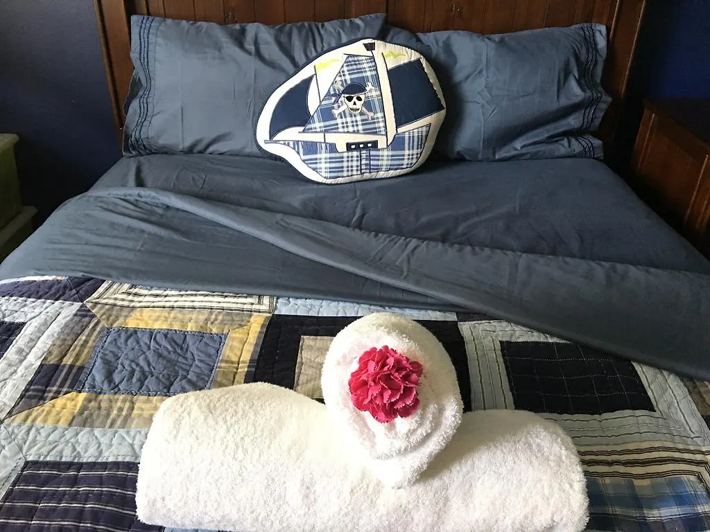 Oasis In Midtown Toronto Apartment Homestay