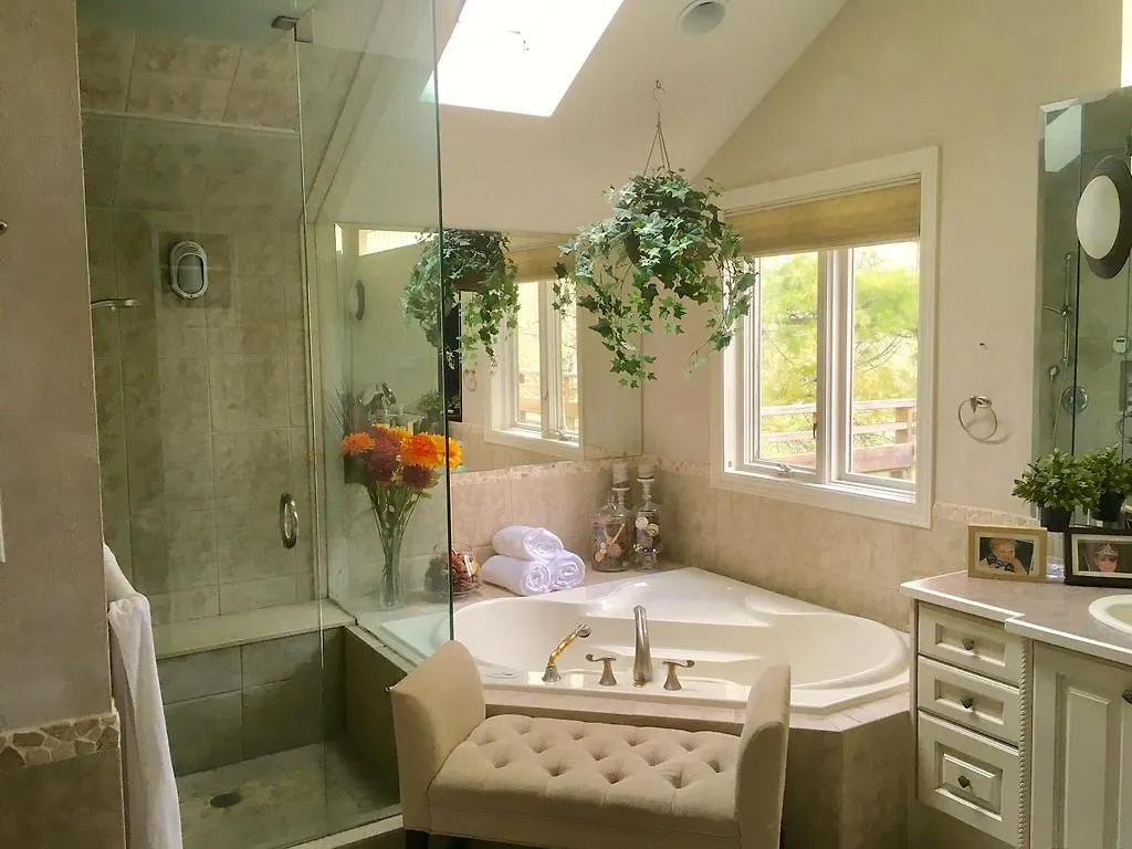 Oasis In Midtown Toronto Apartment