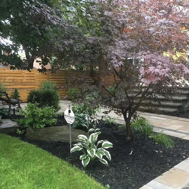 Homestay Oasis In Midtown Toronto Apartment Canada